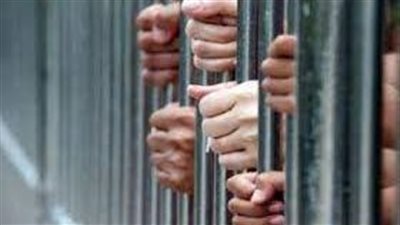 بقيمة 5 ملايين جنيه.. الداخلية تضبط 4 عناصر إجرامية بحوزتهم 500 طربة حشيش في الإسكندرية