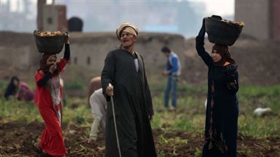 التخطيط: جنوب الصعيد يستحوذ على النسبة الأكبر من الاستثمارات بـ51 مليار جنيه