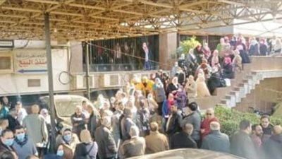 العاملون بدار الكتب يواصلون احتجاجهم ضد رئيس الهيئة