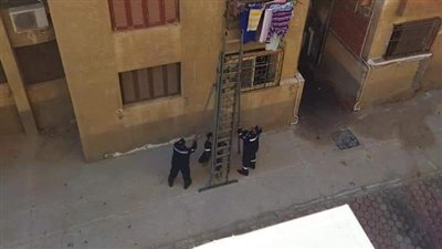 الرفق بالحيوان.. الحماية المدنية تنقذ قط عالق دون طعام وشراب بالشروق