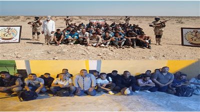 قوات حرس الحدود تزيل  90 فدان زراعات مخدرة.. وتضبط طائرتين دون طيار |فيديو