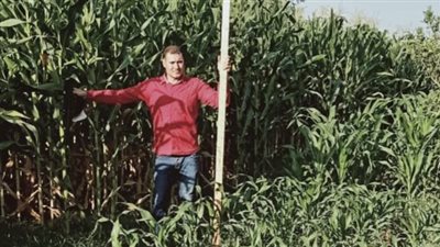 دراسة حديثة بجامعة بنها عن تأثير التغيرات المناخية على إنتاج الذرة الشامية فى مصر