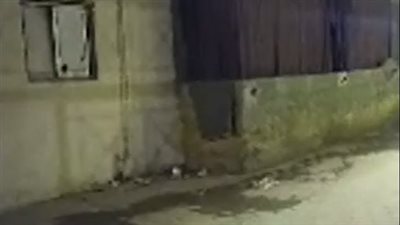 رفض زواجه من حبيبته.. ابن ينهي حياة والده بالشاكوش في الجيزة | فيديو