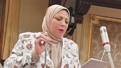 بعد قرار تطبيقه.. برلمانية تطالب بفرض غرامات مالية على المخالفين لتطبيق الحد الأدنى للأجور في القطاع الخاص 