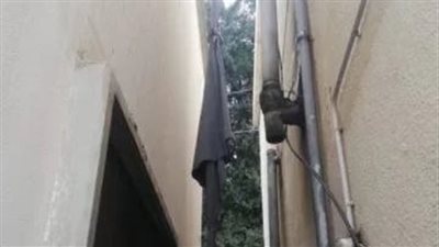 7 سجناء يهربون من أحد السجون اللبنانية