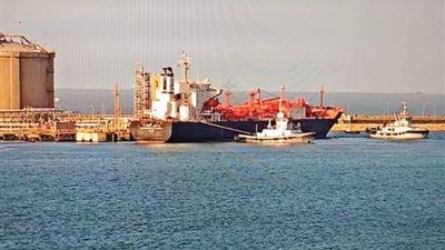 ميناء دمياط يستقبل 26 سفينة متنوعة اليوم