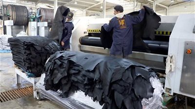 السيسي: تجربة الروبيكي لم تنجح إلا بعد تدخل الدولة