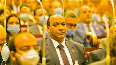 برلماني: المشروعات التنموية بمحافظات الصعيد تمثل نقلة نوعية وتعيد الحياة لوجه قبلي