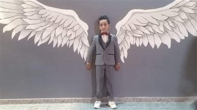 مصرع طفل صعقا بالكهرباء في عمود إنارة ملاصق لـ قصر ثقافة بالشرقية