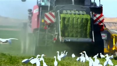 الرئيس السيسي يشهد فيلمًا تسجيلًا بعنوان توشكى الخير