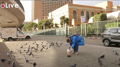 الرفق بالحيوان واجب.. سيدتان ترعيان الطيور والكلاب في شوارع القاهرة | فيديو 