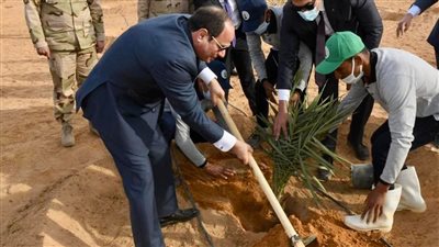 غرس الخير.. الرئيس السيسي يزرع شجرة نخيل في توشكى | صور