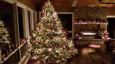 لا تمثل الإسلام.. السعودية تمنع استيراد شجرة الكريسماس نهائيًا | فيديو جراف