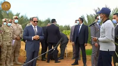 باركود لكل نخلة.. السيسي يشهد مشروع الربط الإلكتروني للمحاصيل الزراعية بتوشكى