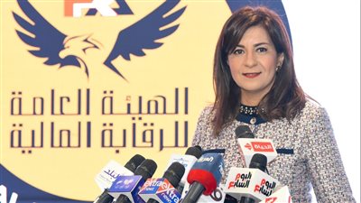  الهجرة تعلن آلية تطبيق التأمين للمصريين العاملين في الخارج