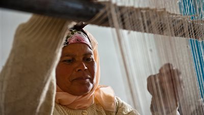 الإحصاء: 4 ملايين امرأة عاملة في 2020.. وانخفاض معدل بطالة النساء خلال كورونا