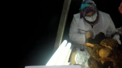 اليدان مربوطتان بجلد ماعز.. خبيرة تكشف تفاصيل مراحل ترميم المومياء الصارخة | صور