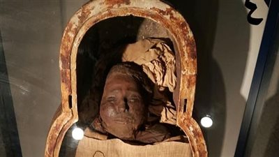 استفتاء على 5 تحف لاختيار قطعة يناير بمتحف التحنيط في الأقصر | صور