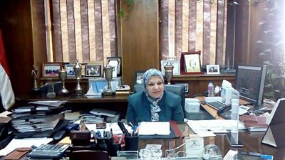 المصرية لنقل الكهرباء: معدلات التنمية في الصعيد تتخطى المحافظات الأخرى | فيديو