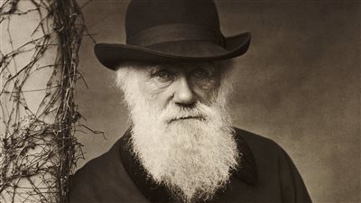 تشارلز داروين يبحر حول العالم.. كيف ساعدته رحلته في إنشاء نظرية التطور؟