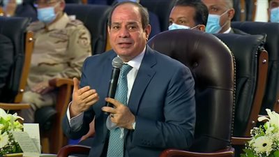 دعمًا للثروة السمكية.. السيسي: نتحمل تكلفة 10 مفارخ لإنتاج أسماك الزريعة