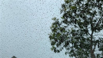 بث مباشر | أمطار خفيفة وانخفاض درجات الحرارة.. وعيار الذهب 21 يسجل 792 جنيهًا