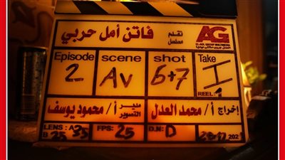 بعد مسلسل فاتن أمل حربي.. كيف تحصل الأم على الولاية التعليمية؟