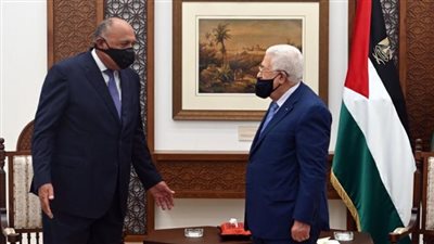 500 مليون دولار لإعمار غزة وتثبيت الهدنة وقمة ثلاثية.. دعم مصري غير مسبوق للقضية الفلسطينية في 2021