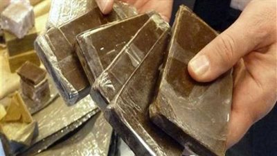 سقوط شخصين بحوزتهما 2.5 كيلو مخدر الحشيش بكفر الشيخ