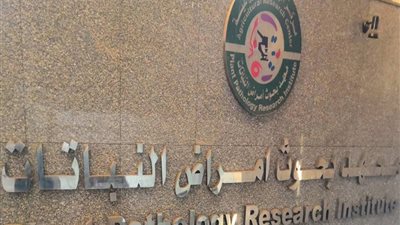 أمراض النباتات ينظم برنامجا تدريبيا بعنوان الأمراض المحمولة بالبذور