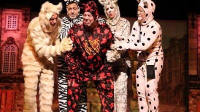 عرض القطط يحتفي مع مدن القناة بالعام الجديد