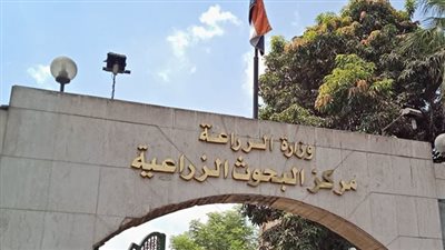 البحوث الزراعية تطالب تشديد الرقابة على الأسواق: مسؤولية تقع على هيئة الغذاء وحماية المستهلك