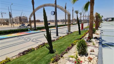 استولوا على 200 فدان أراضٍ في الشيخ زايد.. إحالة 5 متهمين من أوسيم إلى المحاكمة العاجلة