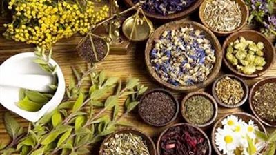 مصر تصدر 95% منها للخارج.. النباتات الطبية والعطرية سوق خارجية واعدة 