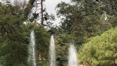 الرى: تطوير حديقة الياسمين بالقناطر الخيرية على مساحة 8 أفدنة