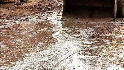 قبل ذهاب الطلاب للمدارس والجامعات.. سحب تراكمات مياه الأمطار من شوارع الفيوم