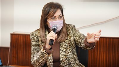 التخطيط: 20 مشروعا رئيسيا بوزارة الثقافة باعتمادات 1.3 مليار جنيه لخطة عام 2022/2021