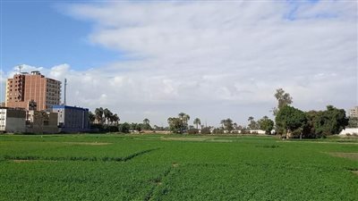 معتدل نهارا شديد البرودة ليلا.. تعرف على حالة الطقس في قنا اليوم