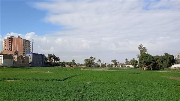 الطقس في قنا