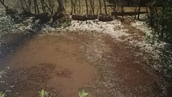 تساقط الثلوج في شرم