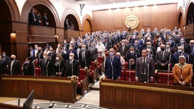 مطالبات من نواب الشيوخ بإنشاء المجلس القومي لمكافحة هدر الطعام