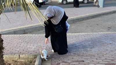 دنيا سمير غانم عن شقيقتها إيمي: بتمشي بأكل القطط والكلاب في شنطتها