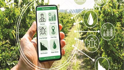 نقلة نوعية في التحول الرقمي بوزارة الزراعة.. تطبيق هدهد يستخدم الذكاء الصناعي لمساعدة الفلاح 