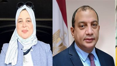 تعيين نسرين حسام الدين مستشارا إعلاميا لجامعة بني سويف
