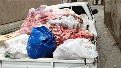 ضبط 6 أطنان لحوم ودواجن فاسدة وتحرير 22 محضر مخالفة بالجيزة│ صور