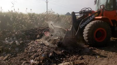 استجابة لـ القاهرة 24.. سلطات الأقصر ترفع الحيوانات النافقة بمنطقة السكة الحديد للقصب | صور وفيديو