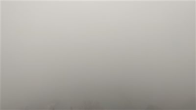 انعدام الرؤية.. شبورة كثيفة تغطي سماء المنوفية صباح الجمعة | صور 