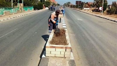 محافظ أسوان يطلق مبادرة هنجملها مع بعض استعدادا لمهرجان تعامد الشمس بمدينة أبو سمبل 