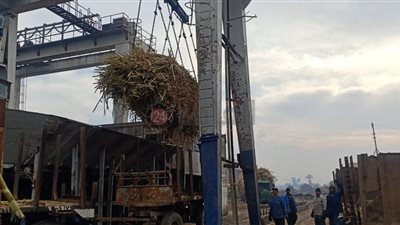 يا أبو اللبايش يا قصب عندنا فرح واتنصب.. انطلاق موسم العصير بمصانع قنا 