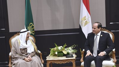 عضو مجلس العلاقات الخارجية توضح عمق العلاقات المصرية الكويتية (فيديو)